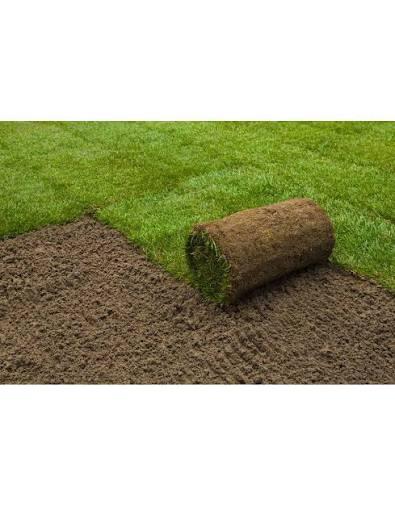GEZOCHT: 8m2 graszoden!, Ophalen, Nieuw, Minder dan 10 m², Gras