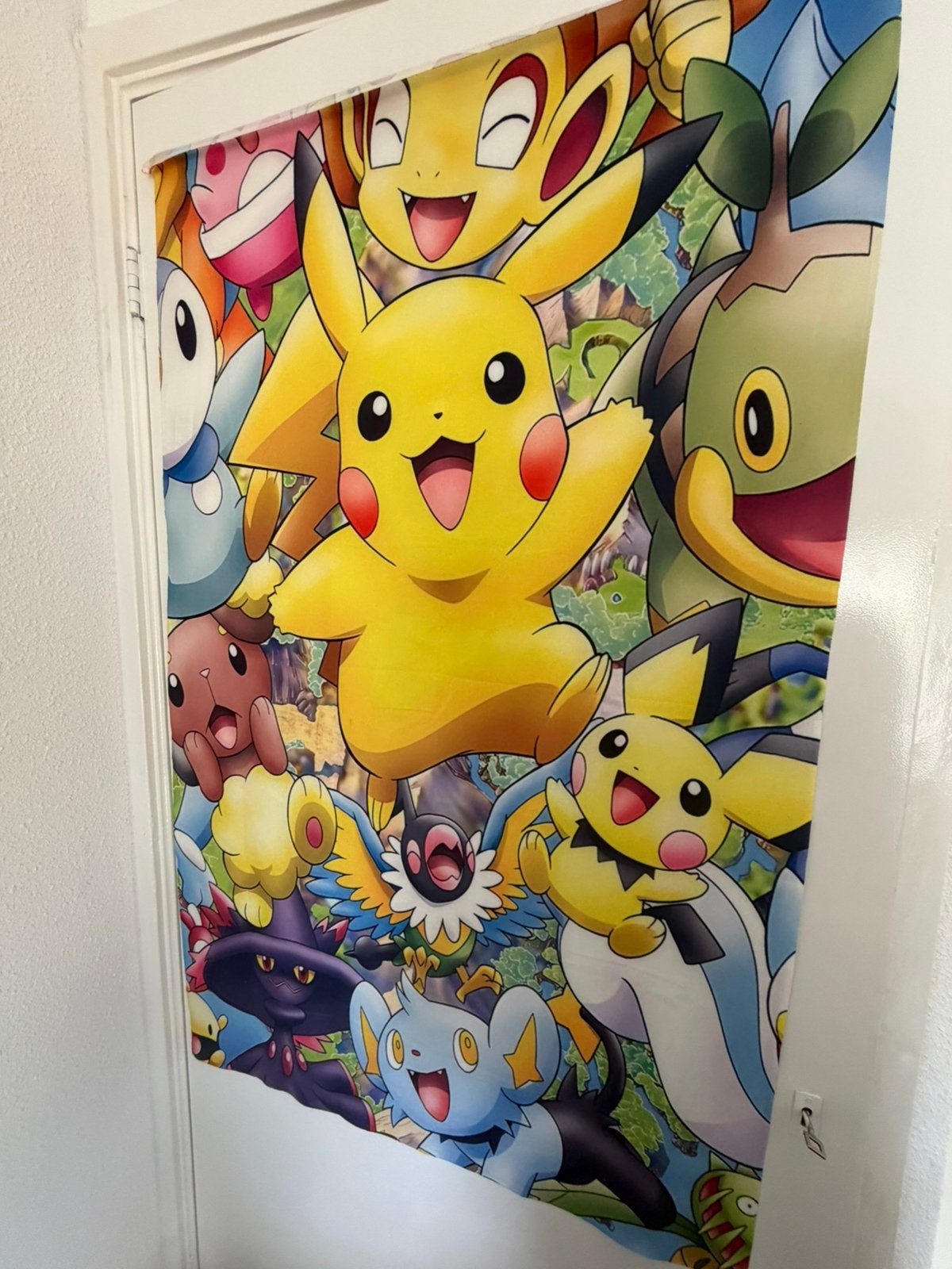Pokemon, Ophalen, Zo goed als nieuw, Overige typen