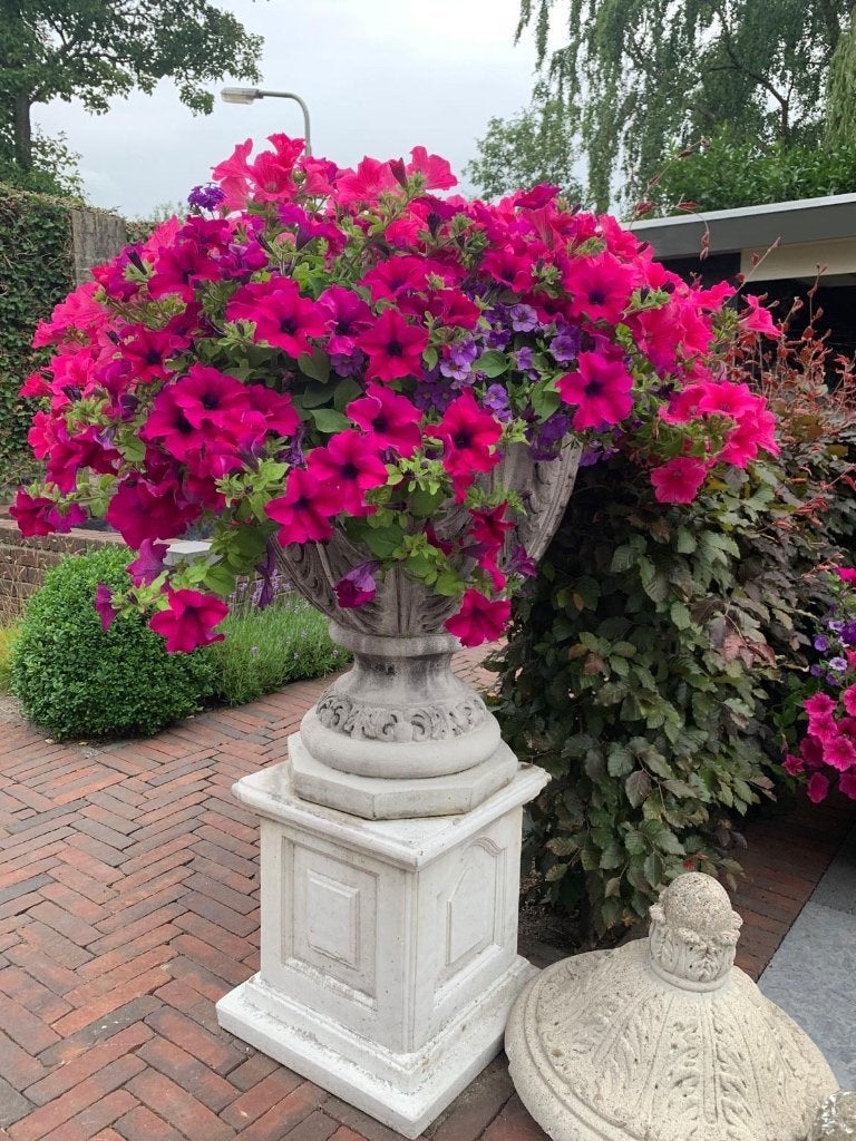 Betonnen buitenpot, Tuin en Terras, Bloempotten, Ophalen, Gebruikt, 40 cm of meer, Rond