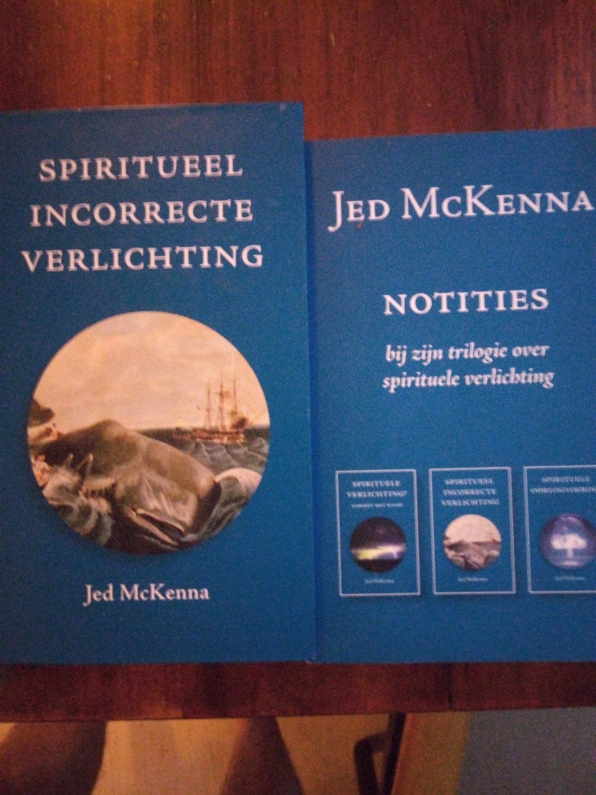 Jed McKenna - Spiritueel Incorrecte Verlichting & Notities, Achtergrond en Informatie, Spiritualiteit algemeen, Verzenden, Zo goed als nieuw