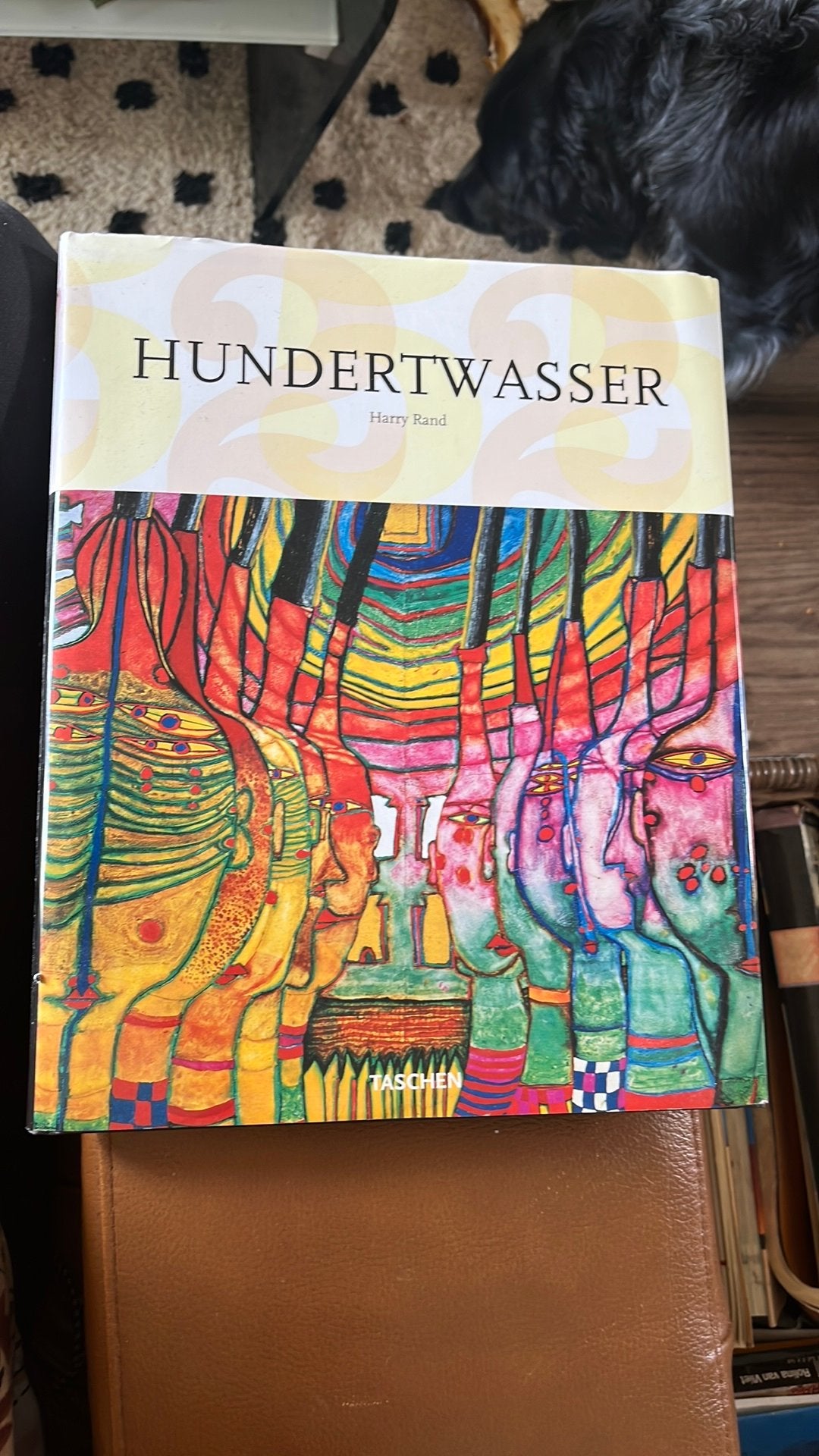 Hundertwasser door Harry Rand - Kunstboek, Boeken, Ophalen of Verzenden, Zo goed als nieuw, Overige onderwerpen