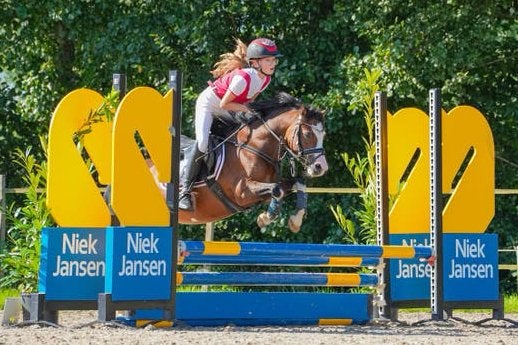 Super knappe sportpony, Merrie, Met stamboom, Springpony, L