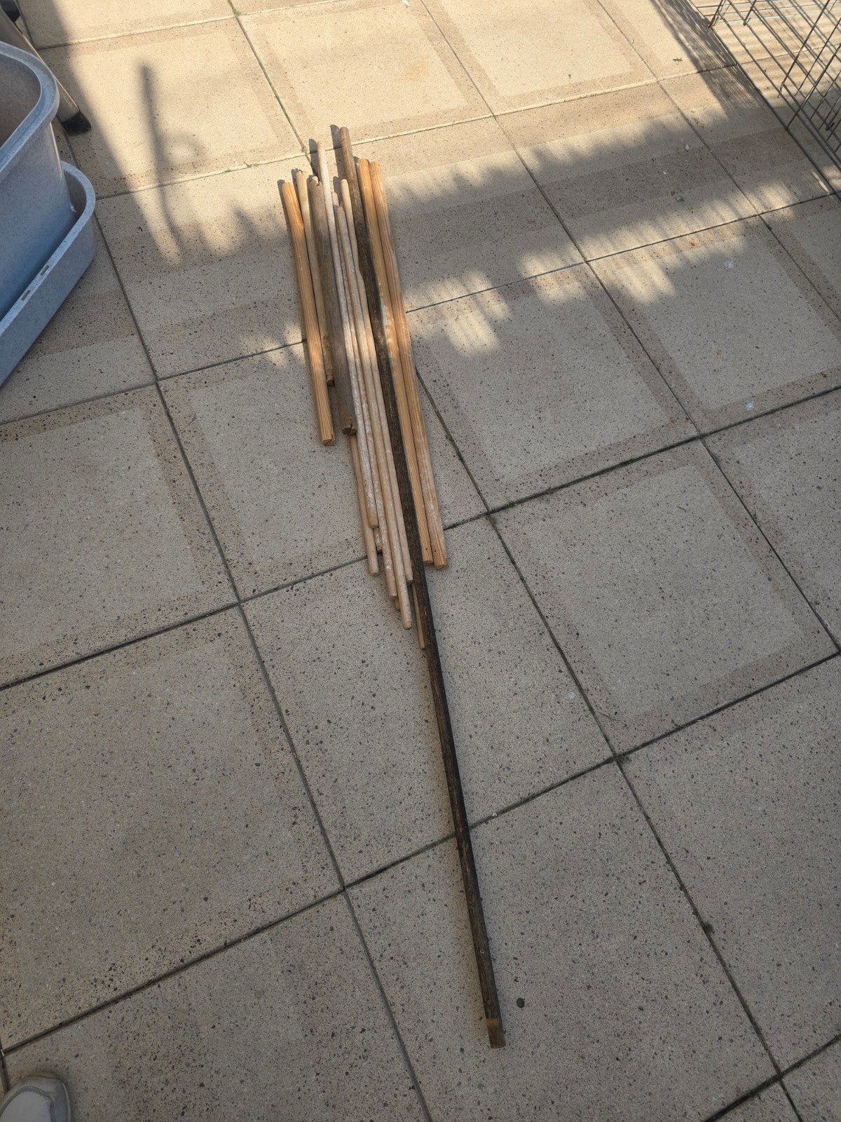 gratis zitstokken voor in volière, Ophalen, Gebruikt, Kooi-accessoires