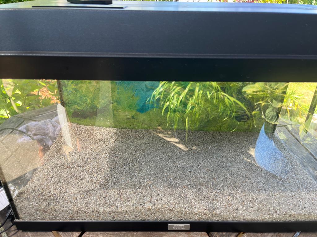 Aquarium Juwel 60 liter, Ophalen, Leeg aquarium