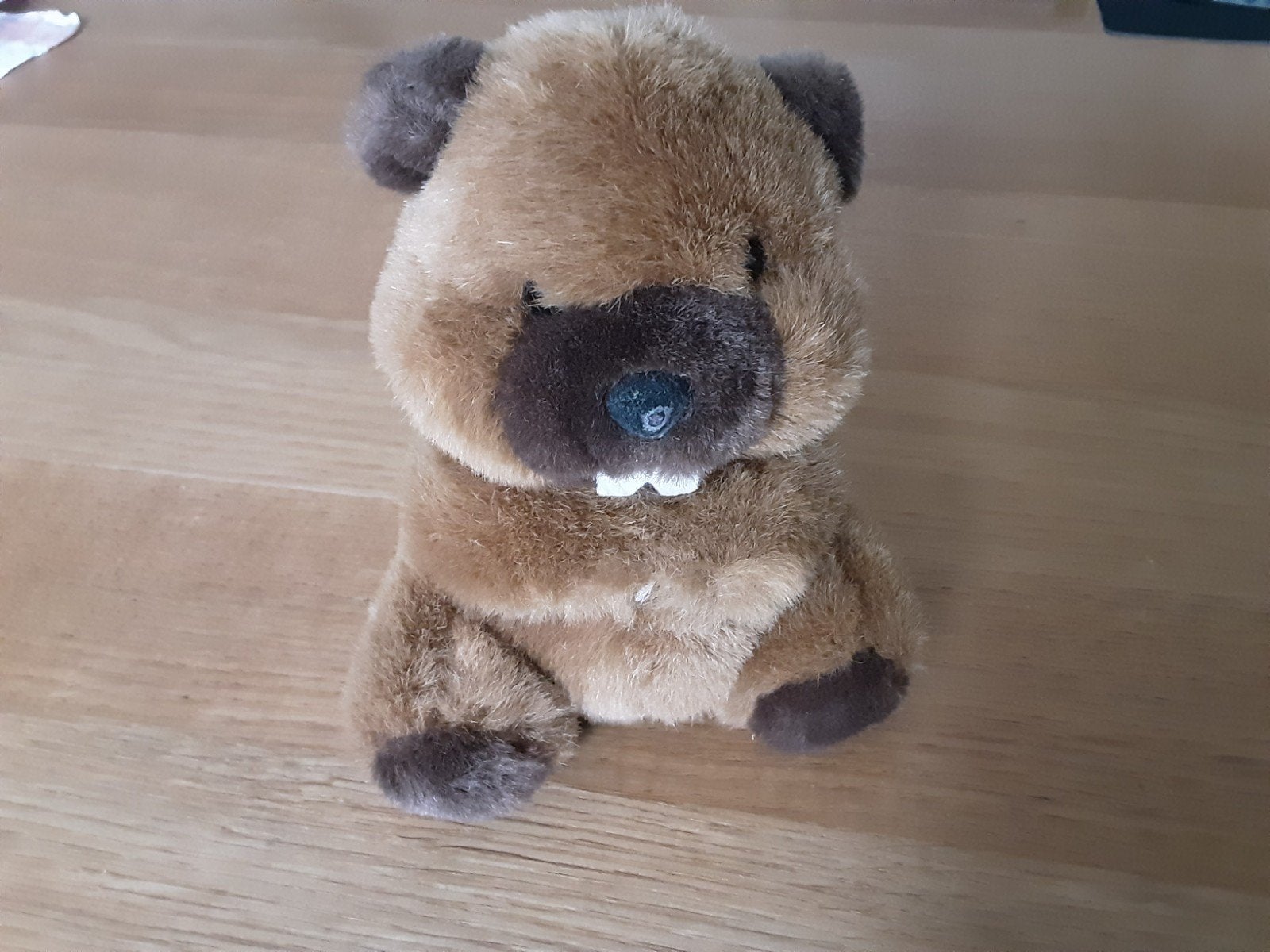 Schattige WWF Panda Collection Bever Knuffel, Overige merken, Overige karakters, Overige typen, Ophalen of Verzenden