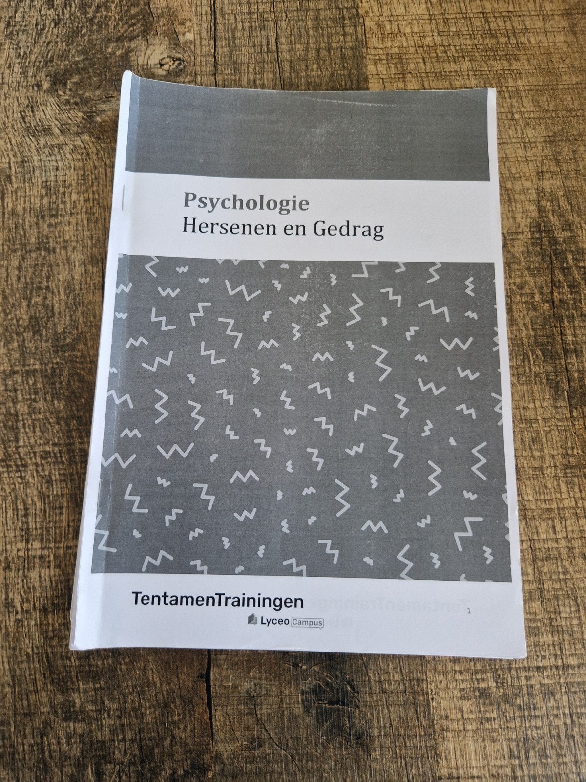 Psychologie hersenen en gedrag samenvatting tentamenbundel, Boeken, Ophalen of Verzenden, Alpha, Zo goed als nieuw, HBO