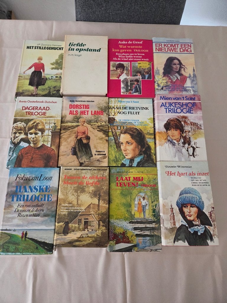 12 Nederlandse romans - In zeer goede staat, Boeken, Ophalen of Verzenden, Zo goed als nieuw, Nederland