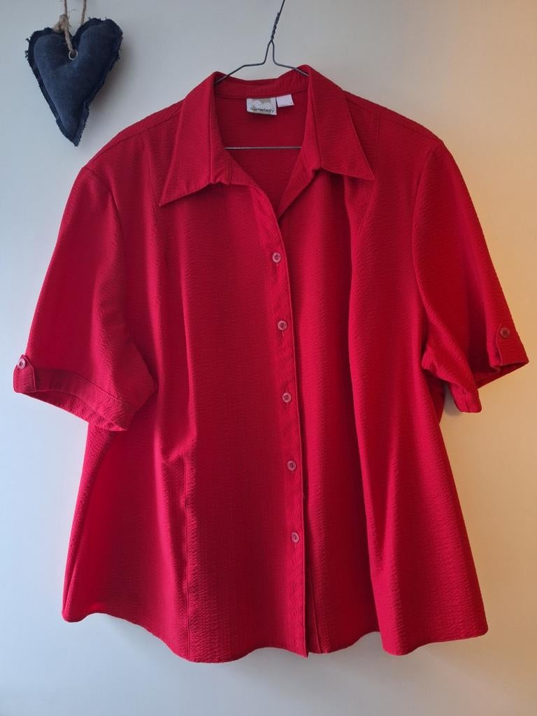 Setterlady - blouse - maat 52, Kleding | Dames, Verzenden, Blouse of Tuniek, Zo goed als nieuw, Setterlady