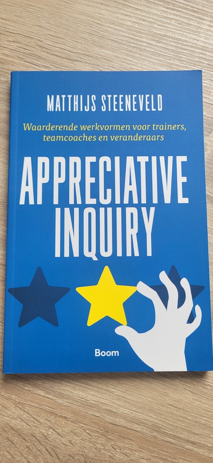Appreciative Inquiry - Matthijs Steeneveld, Ophalen of Verzenden, Zo goed als nieuw, Matthijs Steeneveld, Nederland