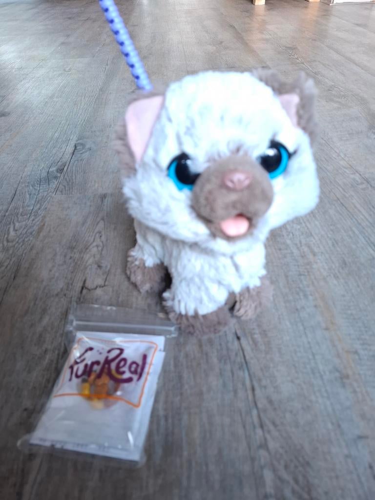 FurReal Friends Walkalots Kat met riem, Ophalen of Verzenden