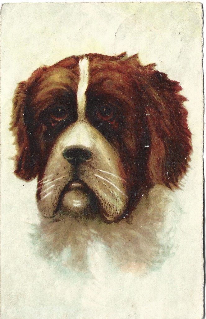Hond; met poststempel van Oploo ( N-BR ), Verzenden, 1920 tot 1940, Gelopen, Hond of Kat