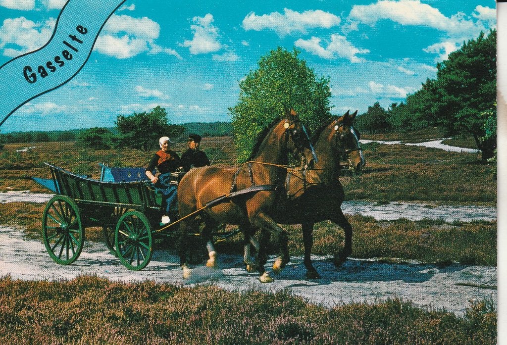 ansichtkaart Gasselter heide met paard en wagen, Ophalen of Verzenden, 1980 tot heden, Ongelopen, Drenthe