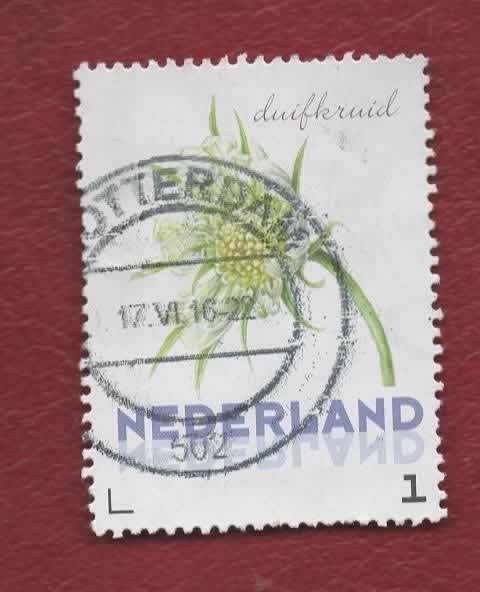 3013 - Pers.z. - Duifkruid - ('13) - gebr. (pst.st. R'dam), Ophalen of Verzenden, Na 1940, Gestempeld