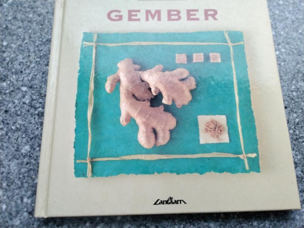 koken met gember, Ophalen of Verzenden, Zo goed als nieuw, Nederland en België, Gezond koken