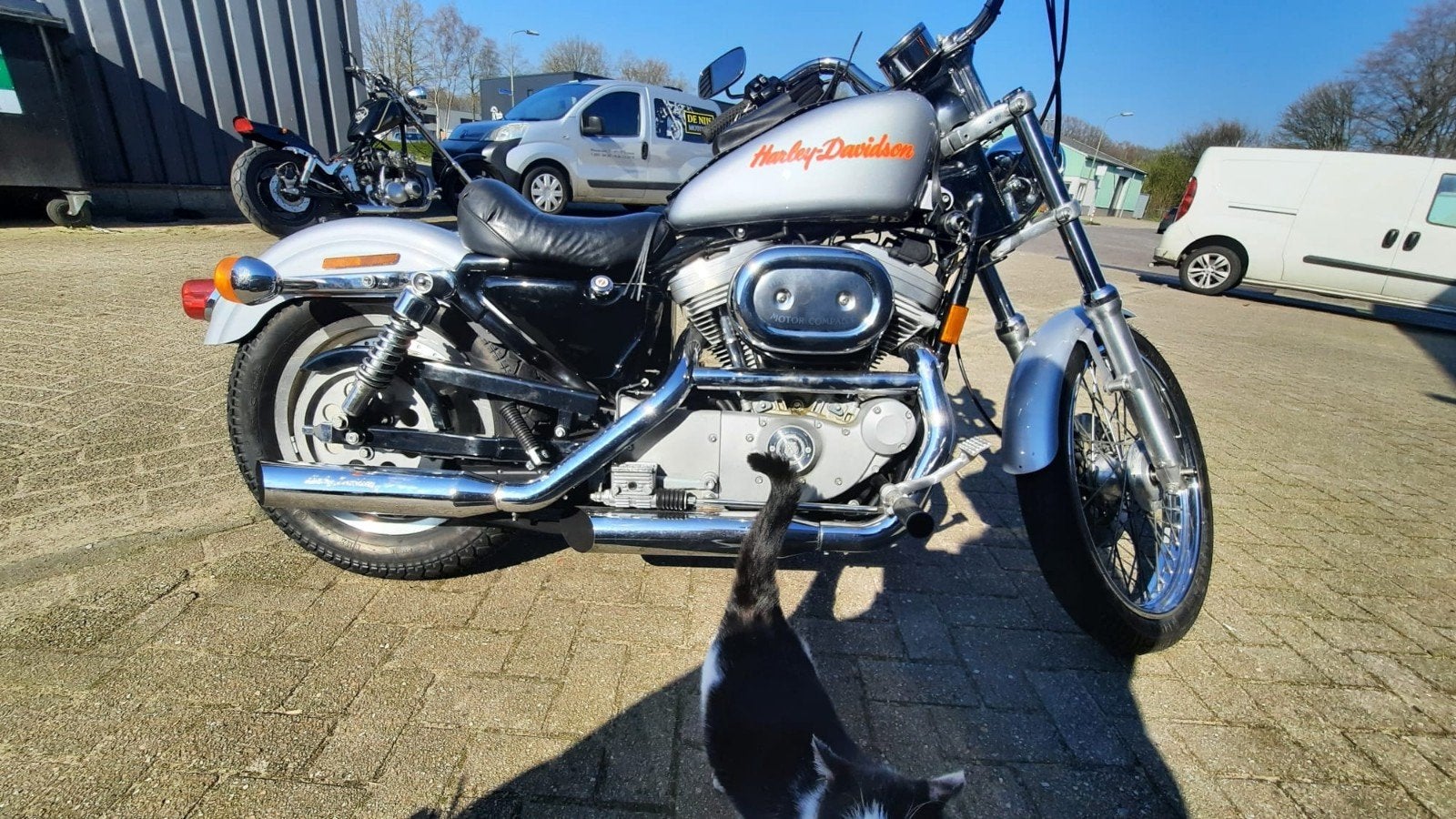 Harley-Davidson Sportster 883 hugger- Zilver, 1999, Motoren, 2 cilinders, Occasion, Particulier, Meer dan 35 kW