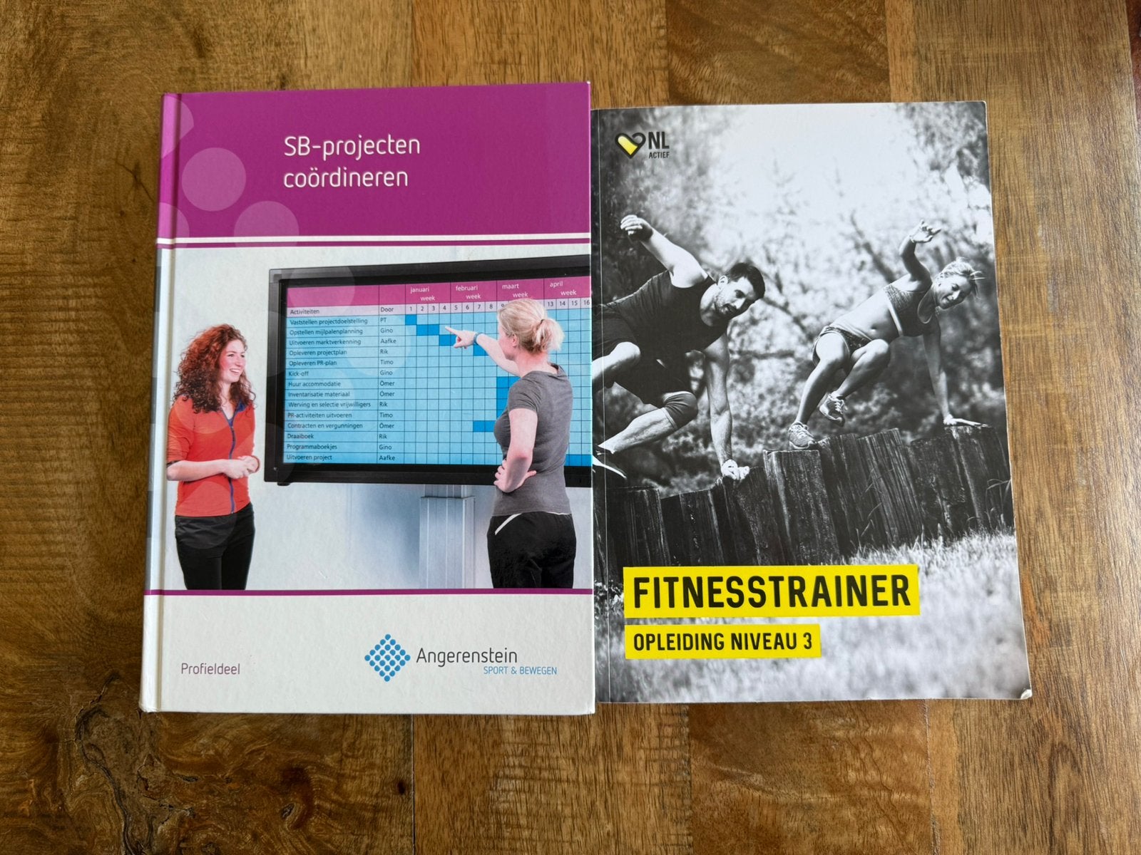 angerenstein  SB-Projecten Coördineren, Boeken, Schoolboeken, Ophalen, Zo goed als nieuw, Overige niveaus