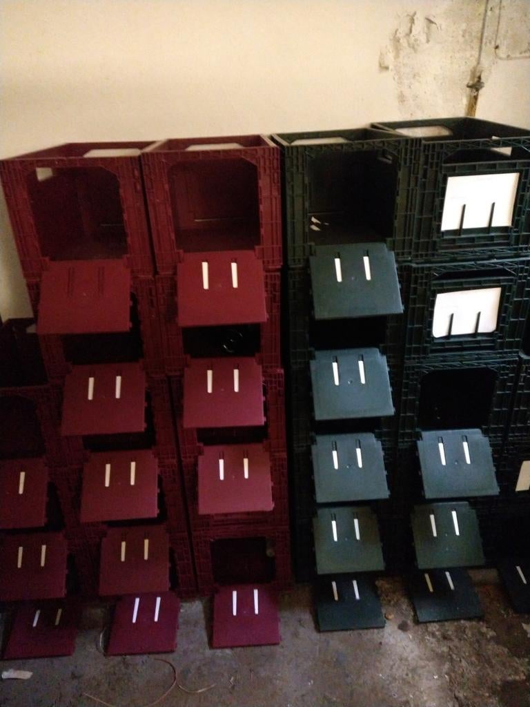 26 Transport kratten - diverse kleuren en maten, Doe-het-zelf en Verbouw, Kratten en Dozen, Ophalen, Gebruikt, 40 tot 60 cm, 50 tot 75 cm