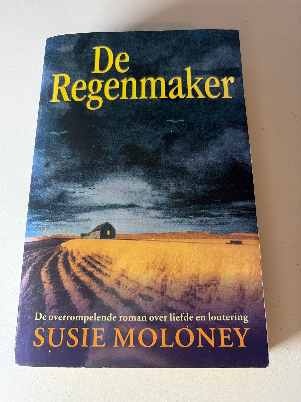 De Regenmaker - Susie Moloney, Ophalen of Verzenden, Gelezen, Nederland