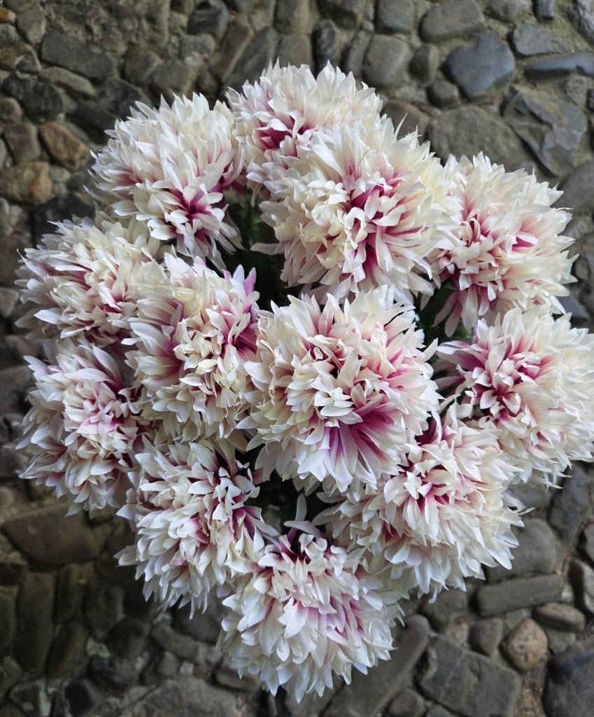 CHRYSANT - KUNST - 2 KLEUREN - KOOPJE - 1 EURO, Ophalen of Verzenden, Nieuw