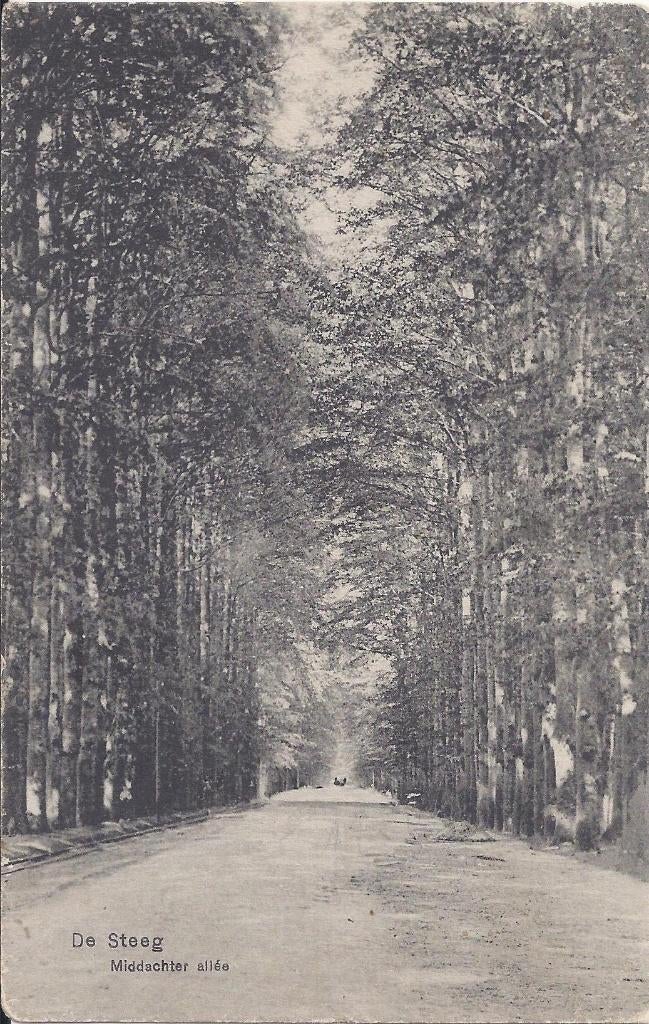 De Steeg Middachten allee Oude Gelopen Ansichtkaart B719, Ophalen of Verzenden, 1940 tot 1960, Gelopen, Gelderland