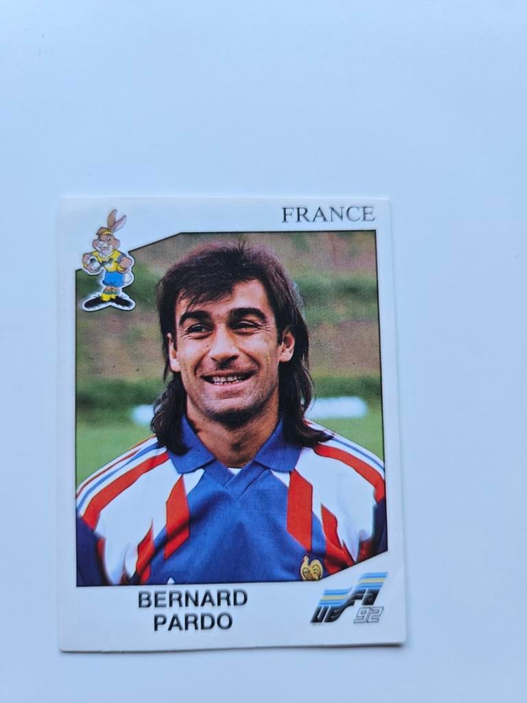 Panini euro 92, Ophalen of Verzenden, Zo goed als nieuw, Buitenlandse clubs, Poster, Plaatje of Sticker