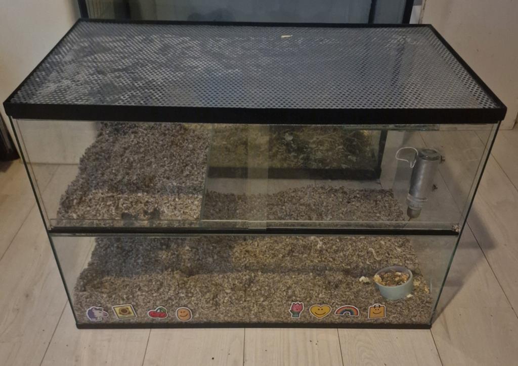 Terrarium/glazen hamster kooi e.v.t met hamster en spullen, Kooi, Minder dan 75 cm, Zo goed als nieuw, Hamster