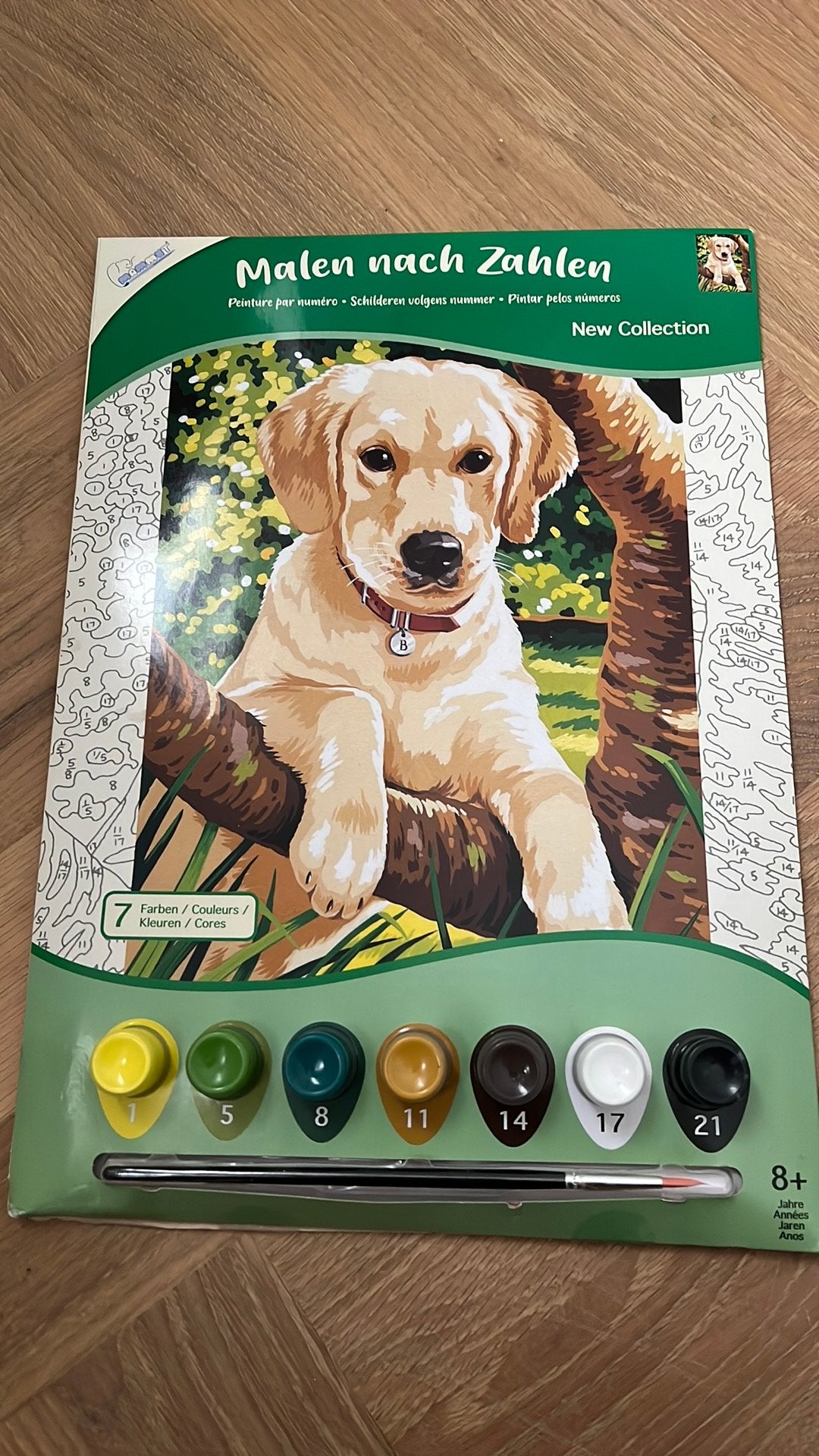 Schilderen op nummer hond, Ophalen of Verzenden, Nieuw, Schilderen op nummer