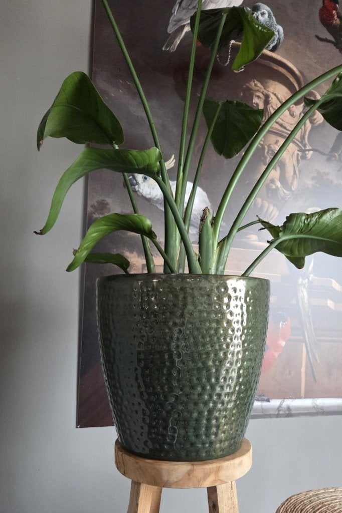 Nieuwe ronde bloempotten Palomas metaal gehamerd (3 maten), 25 tot 40 cm, Rond, Ophalen of Verzenden, Minder dan 40 cm