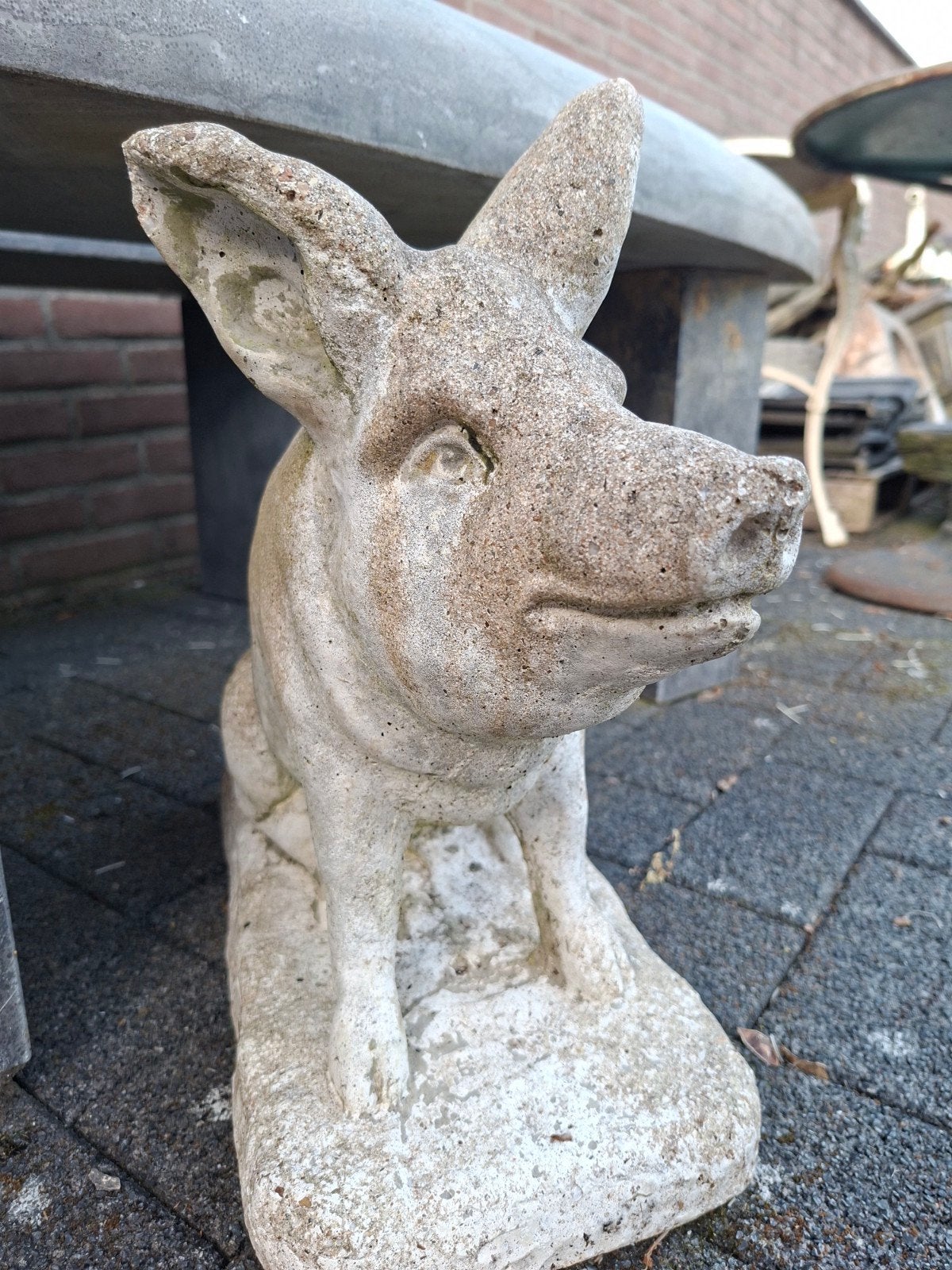 Groot Varken, Tuin en Terras, Tuinbeelden, Ophalen, Gebruikt, Beton, Dierenbeeld