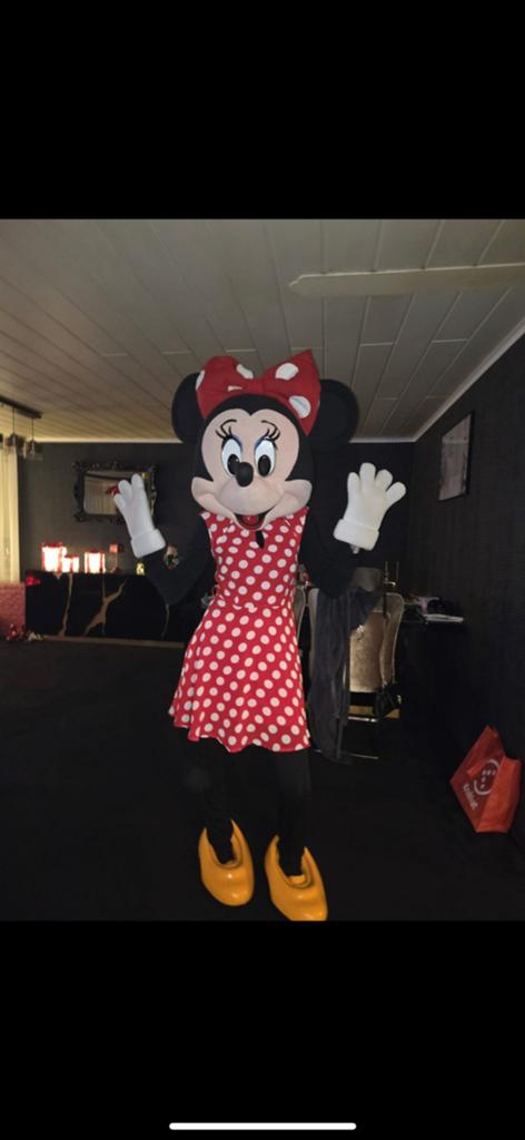 Mascotte mini mouse, Hobby en Vrije tijd, Feestartikelen | Verhuur, Ophalen, Zo goed als nieuw, Verjaardag