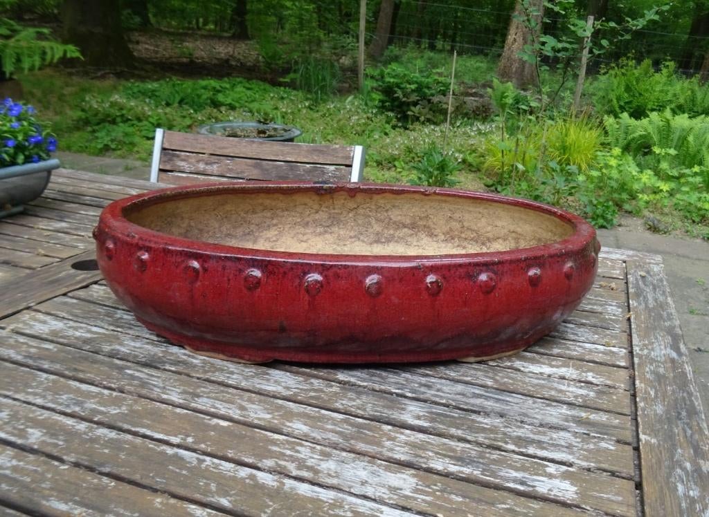 Grote bonsai schaal  bordeaux geglazuurd., Tuin en Terras, Bloempotten, Ophalen, 40 cm of meer, Zo goed als nieuw, Minder dan 40 cm