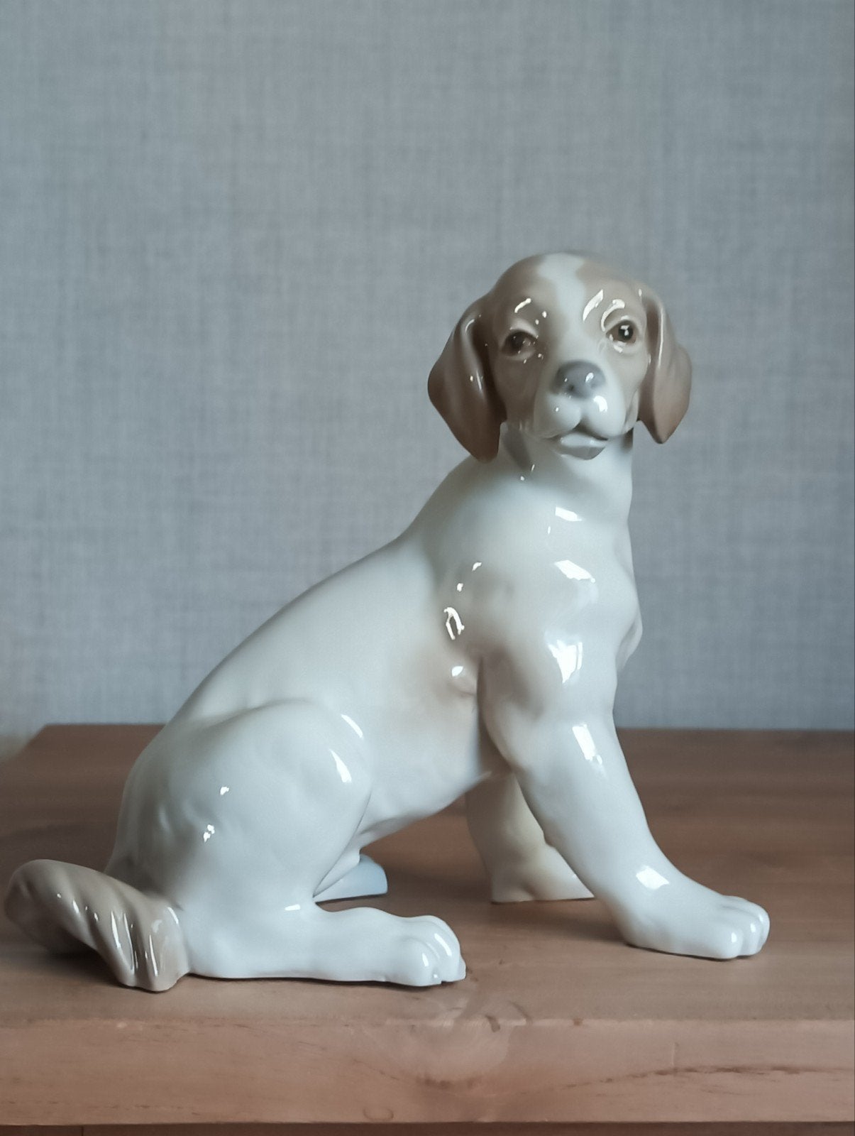 Nao by Lliandro porselein hond, Ophalen, Zo goed als nieuw, Dier