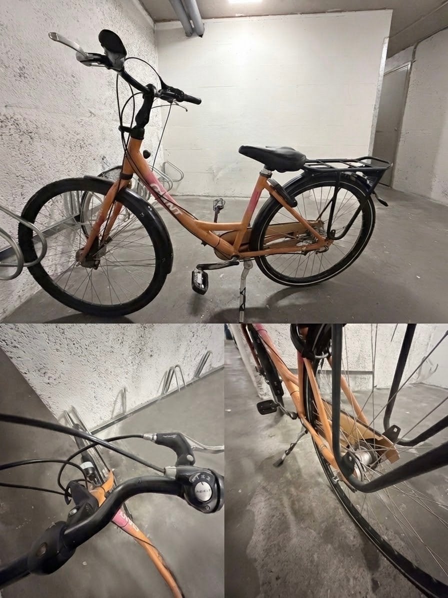 Giant fiets  - Comfortabel en betrouwbaar, Ophalen, Gebruikt, Velgrem, Versnellingen