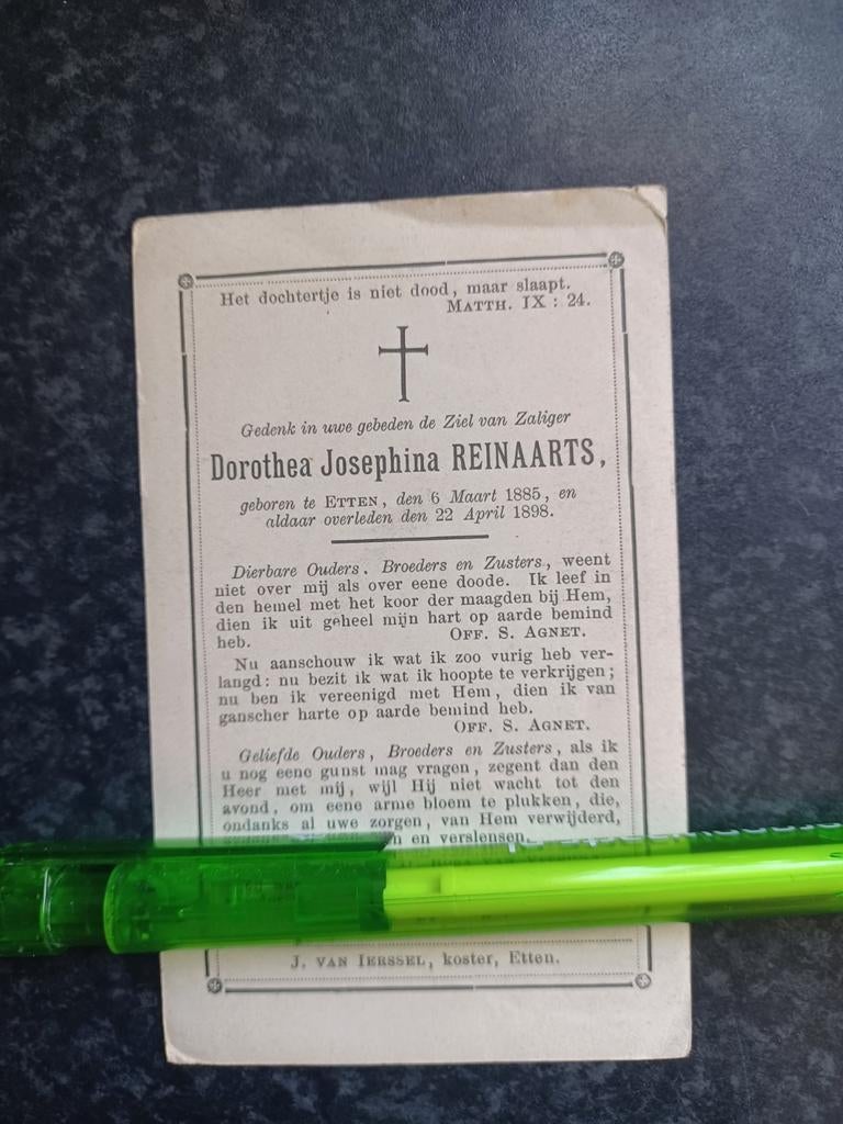 Bidprentje Etten Dorothea Reinaarts 1885 1898, Ophalen, Bidprentje