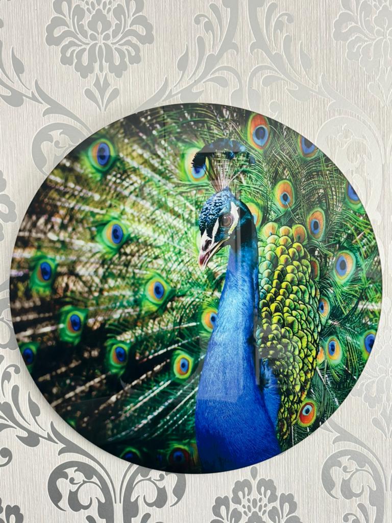 Glazen wanddecoratie Pauw, Ophalen, Zo goed als nieuw