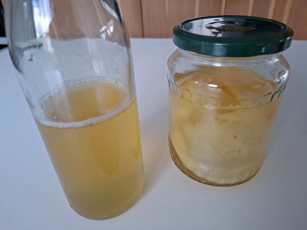 kombucha, Diversen, Ophalen