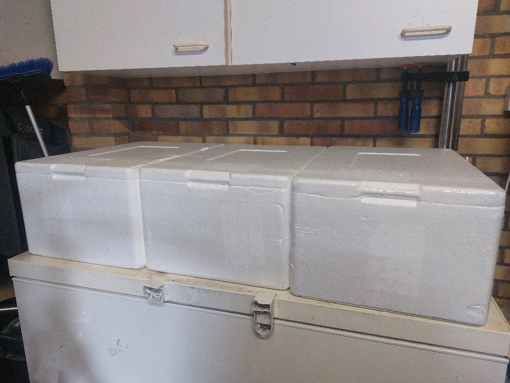 Piepschuimen koelbox 3 stuks, Ophalen, Gebruikt, Koel-accessoire, Koelelement