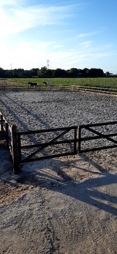 Aangeboden: 24/7 buiten pony<125, Dieren en Toebehoren, Stalling, 1 paard of pony