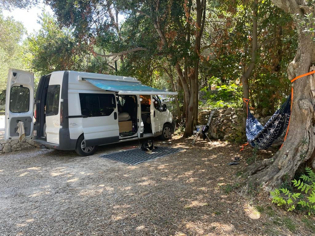 Renault Traffic Camper - professionele ombouw, nieuwe APK, Caravans en Kamperen, Overige merken, Chemisch toilet, Buscamper of Camperbus