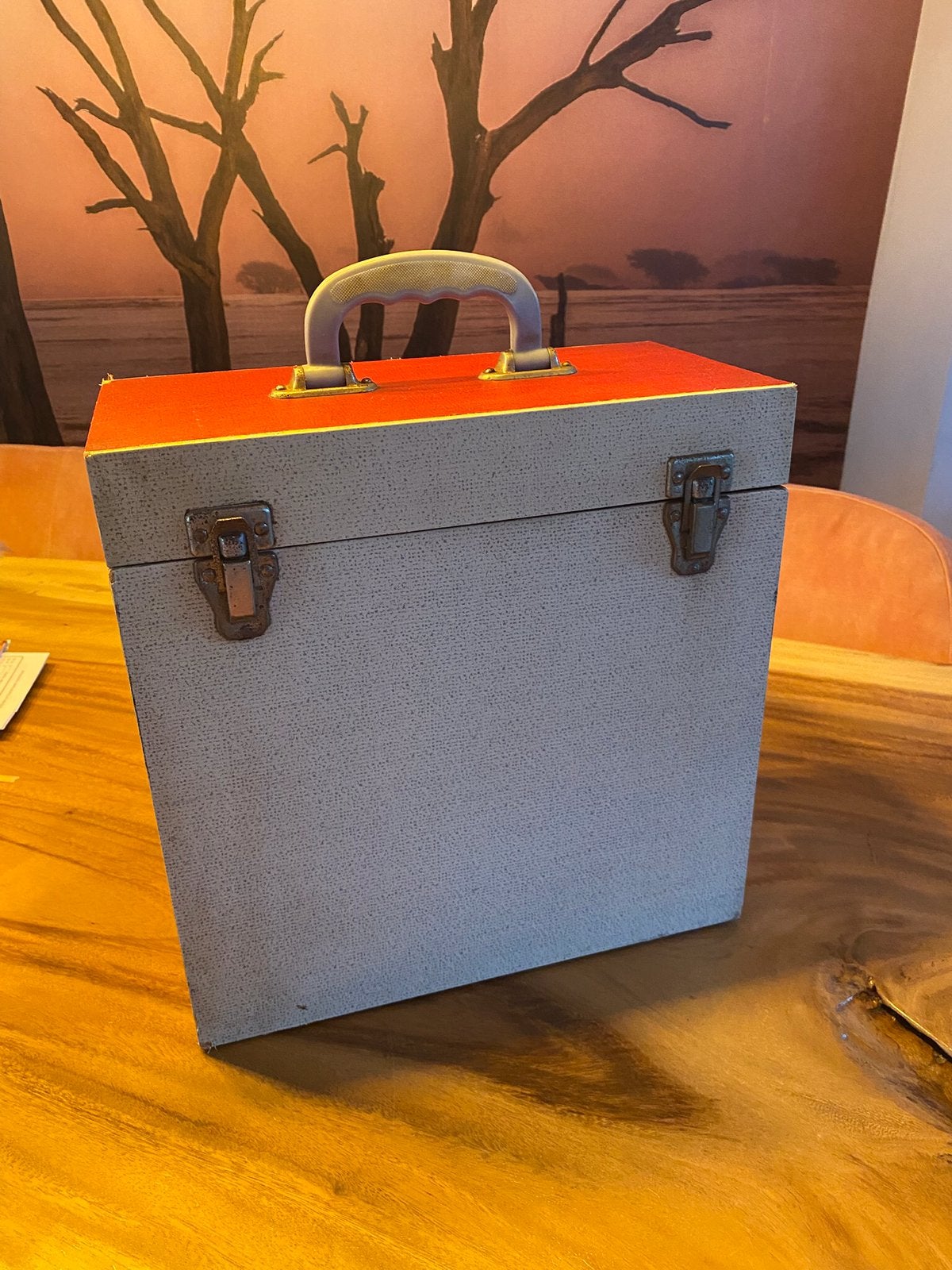 Platenkoffer, Ophalen of Verzenden, Zo goed als nieuw, Minder dan 50 cm
