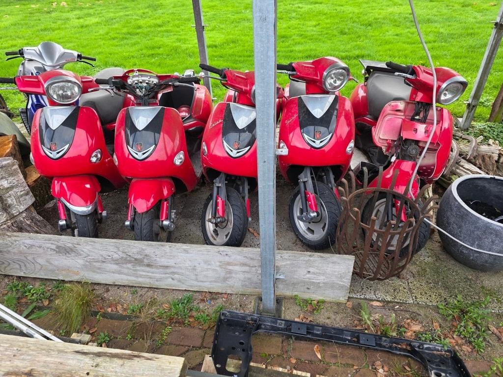 5x Lintex Salsa scooters - geen kenteken, Ophalen