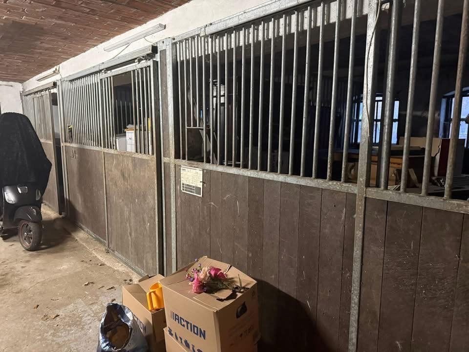Vier voorwanden en twee tussenwanden, Dieren en Toebehoren, Paarden en Pony's | Overige Paardenspullen, Ophalen of Verzenden, Gebruikt