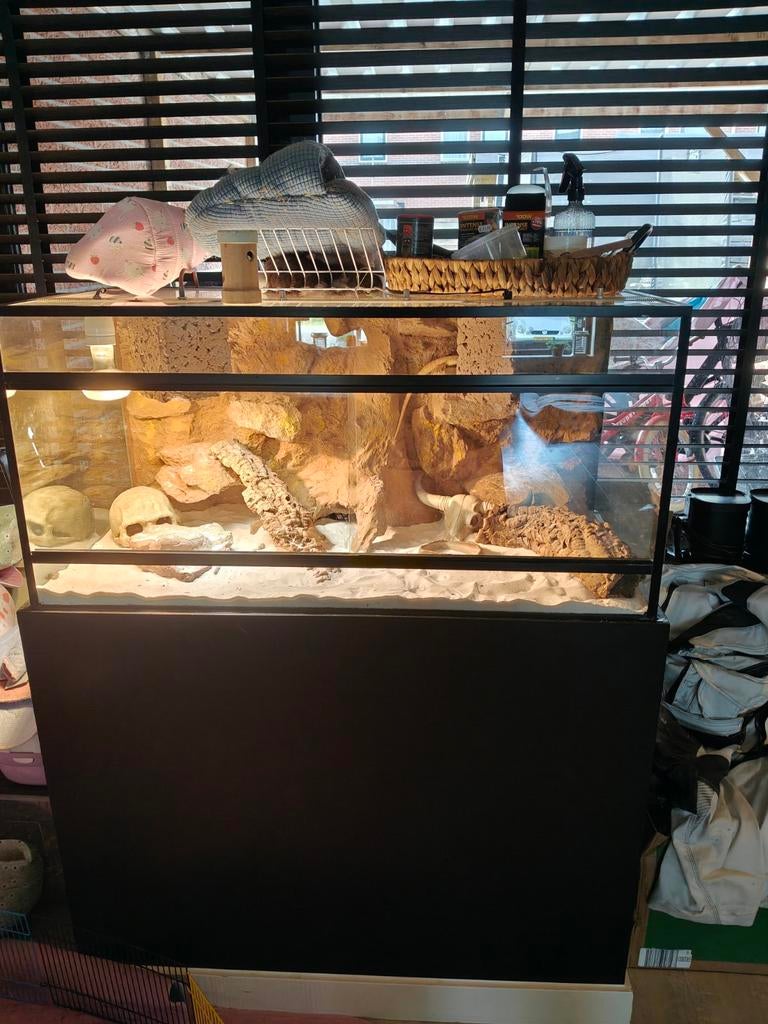 Terrarium 100 breed 50 diep, en 130 hoog., Ophalen, Gebruikt, Terrarium of Paludarium