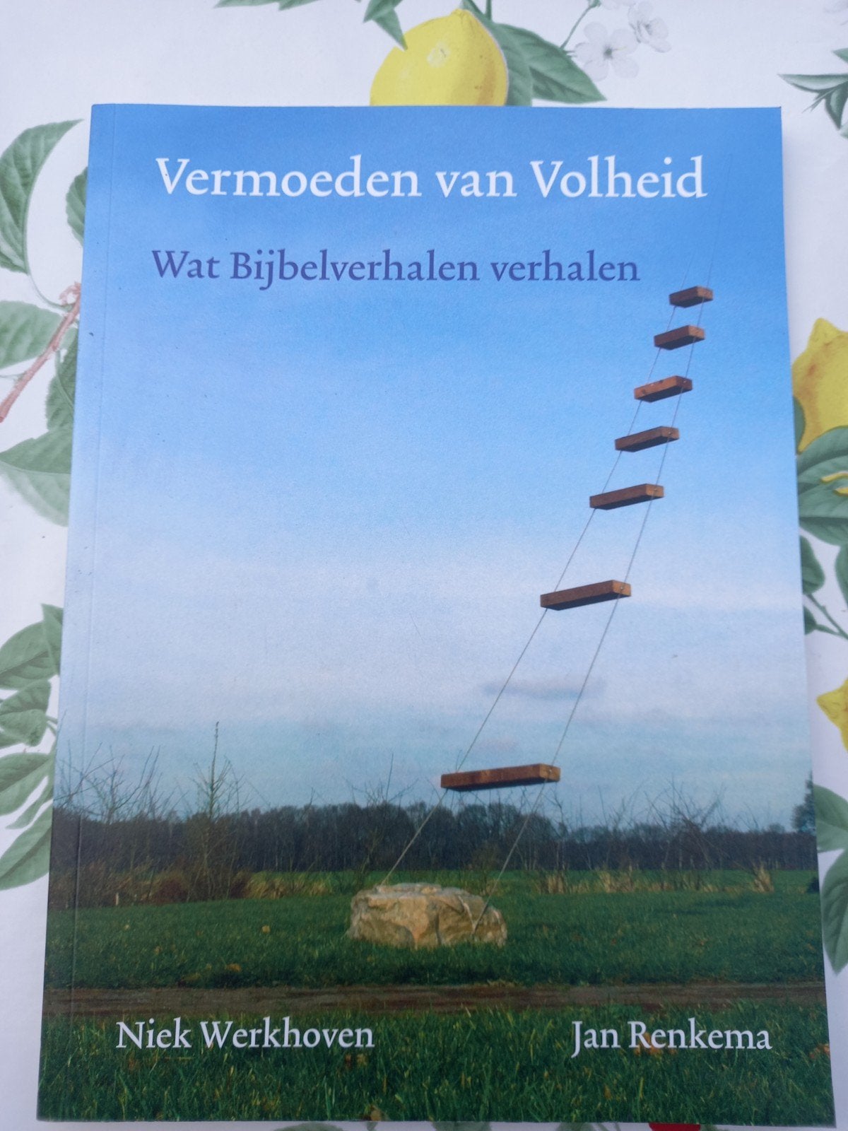 H Niek Werkhoven - Vermoeden van volheid, Boeken, Gelezen, Niek Werkhoven; Jan Renkema, Ophalen of Verzenden, Christendom | Katholiek