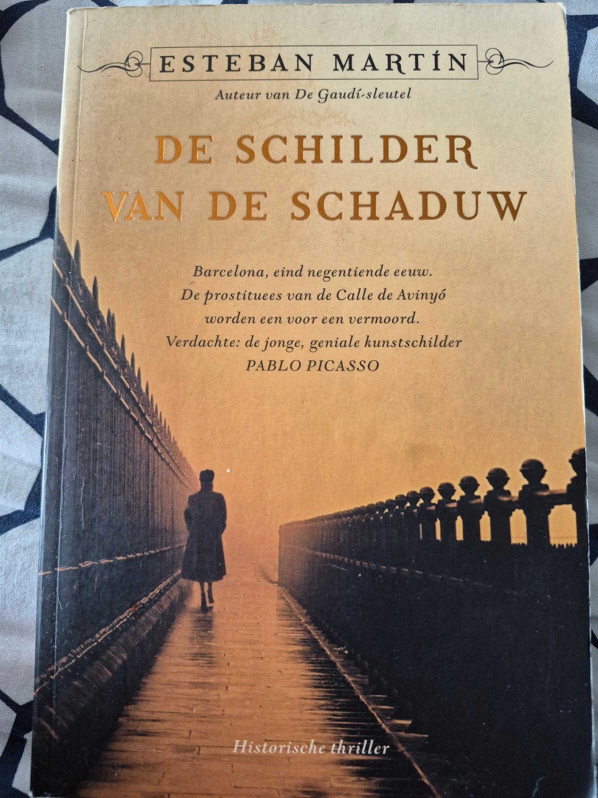 De Schilder van de Schaduw - Esteban Martín, Ophalen of Verzenden, Gelezen, Esteban Martín, Europa overig
