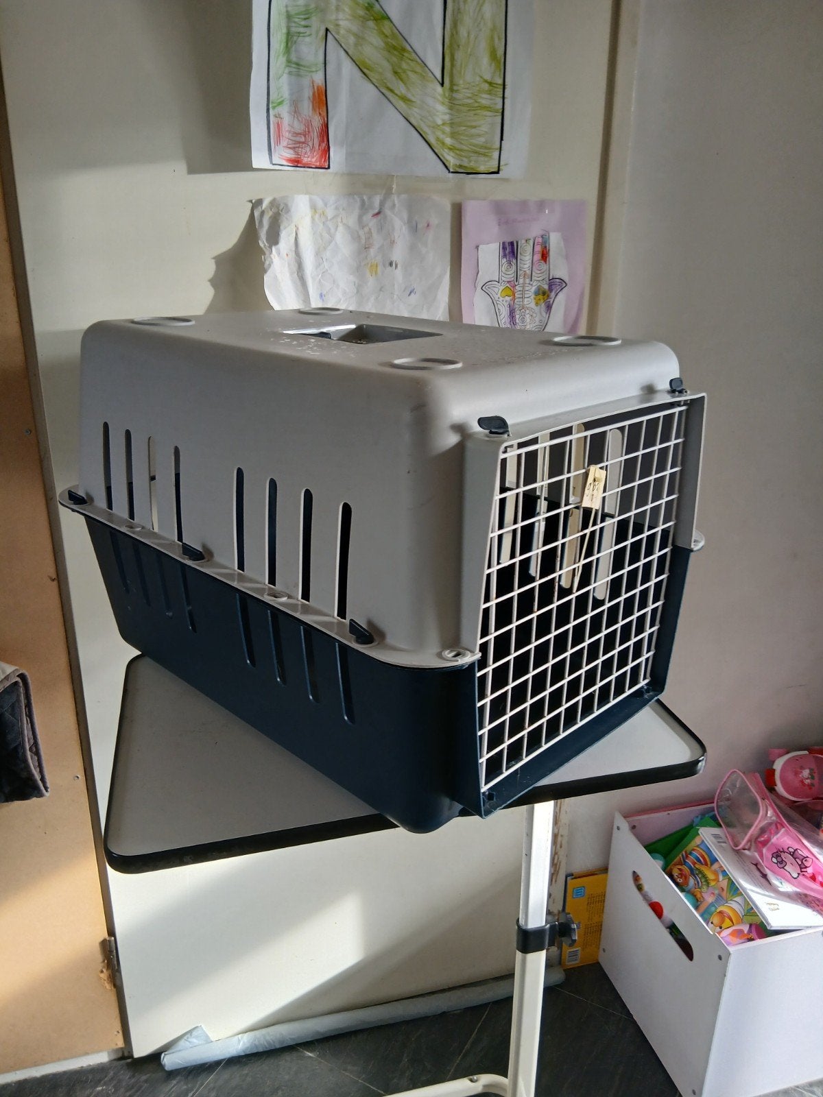 mooie grote katten vervoers koffer nr 962, Ophalen, Zo goed als nieuw
