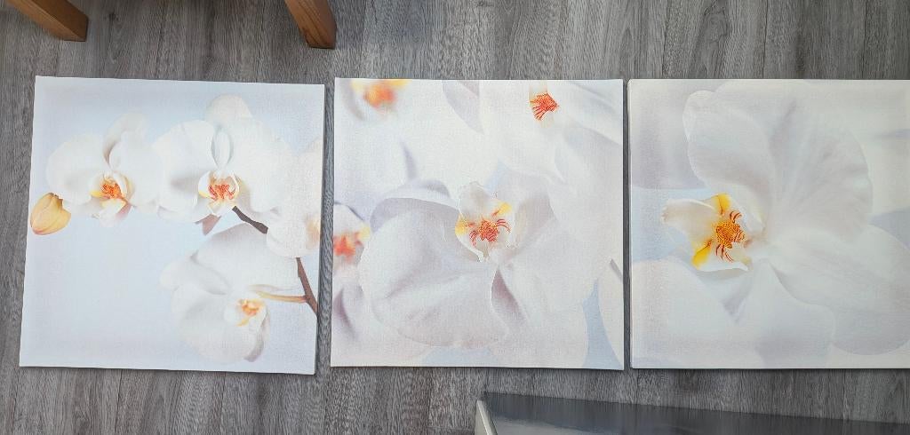 Bloemen schilderijen set, Ophalen