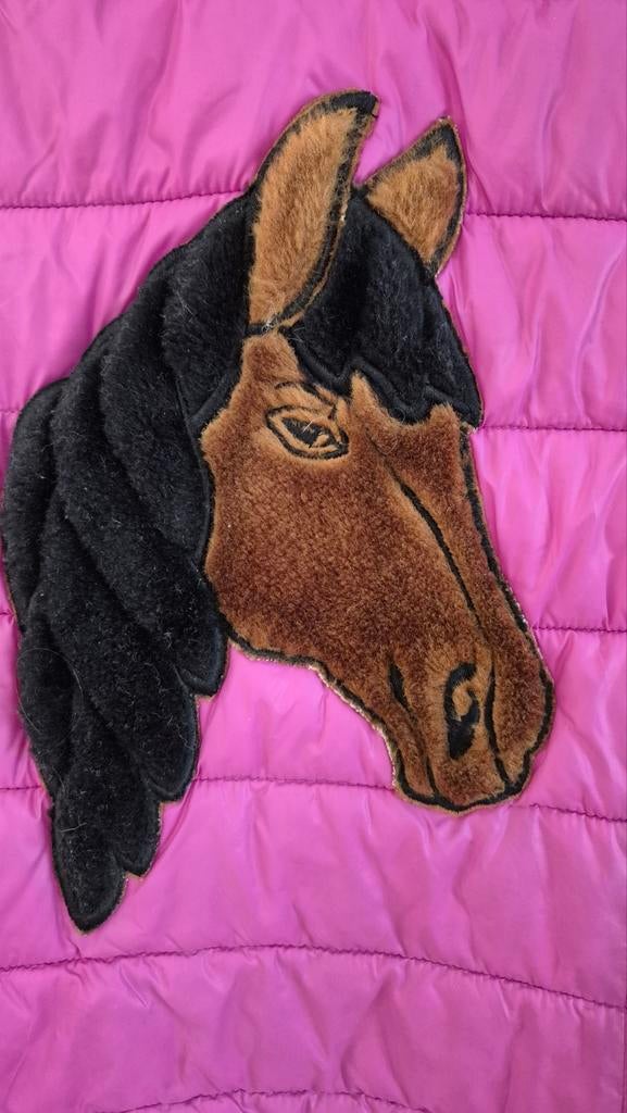 Roze bodywarmer paard 128 Benetton, Ophalen of Verzenden, Zo goed als nieuw, Meisje, Trui of Vest