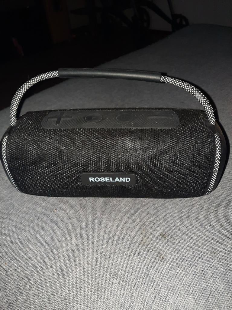 Roseland RS-510 Draagbare Bluetooth Speaker, Audio, Tv en Foto, Luidsprekers, Overige merken, Gebruikt, Overige typen, Ophalen of Verzenden