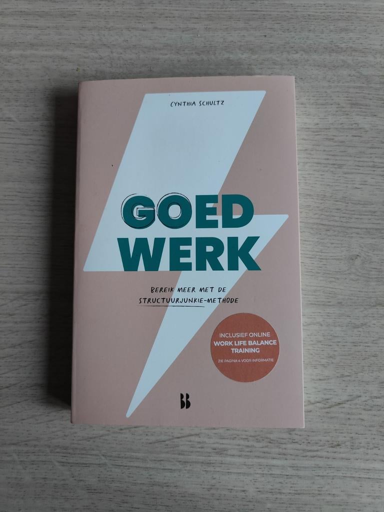 Goed Werk - Cynthia Schultz, Ophalen of Verzenden, Zo goed als nieuw, Cynthia Schultz